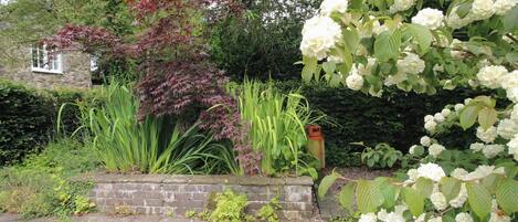 A garden with a variety of plants, a brick wall, and a stone pathway.