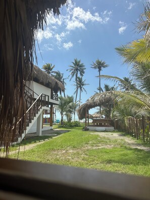 Property grounds - Karpatty Mar: Beachfront Cabins, Restaurant, and Bar (Pets Welcome) (San Bernardo Del Viento)