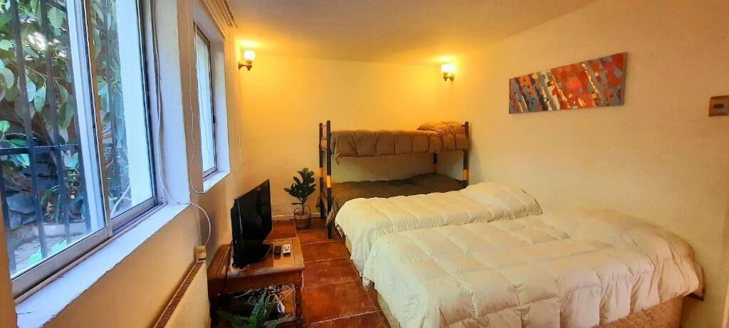 Habitación con dos camas, un televisor, una planta en maceta y una ventana con vistas a la vegetación.