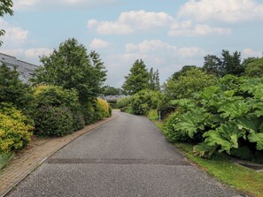 Uma estrada pavimentada ladeada por vegetação densa e edifícios residenciais.