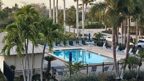 Ein Pool, umgeben von Palmen und Liegestühlen.