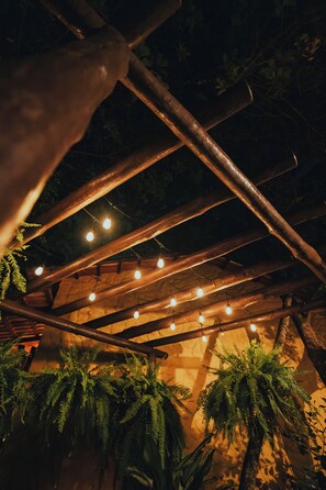 Estructura de techo de madera con luces colgantes y helechos.
