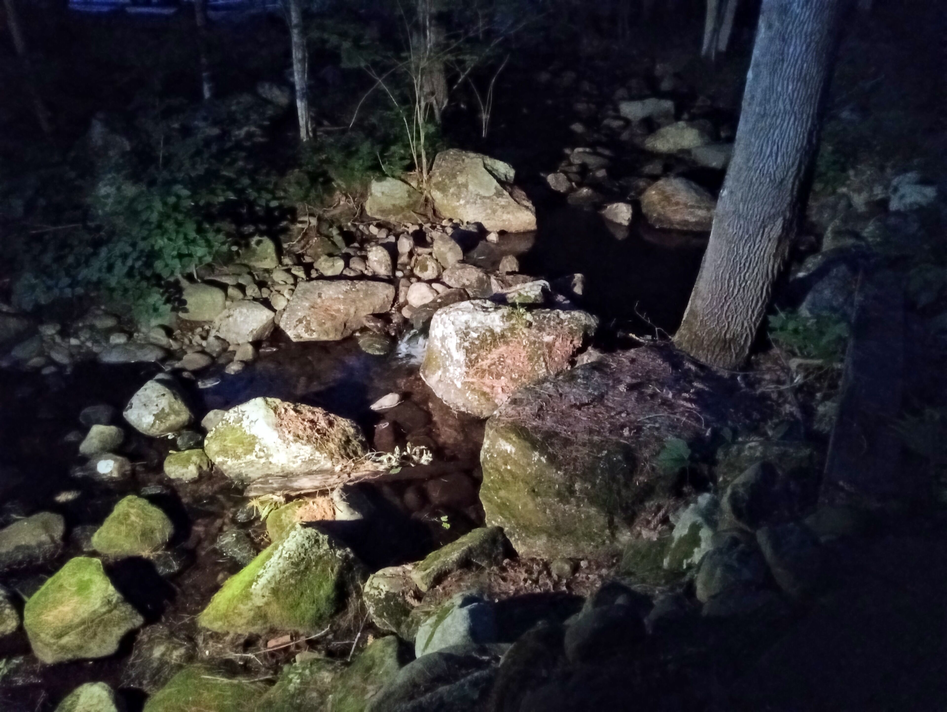 Une scène nocturne en extérieur, avec des rochers et un arbre.