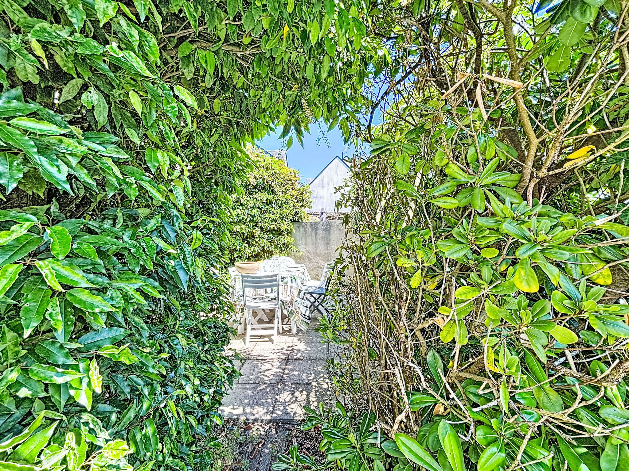 A narrow pathway flanked by dense foliage leading to a building with a visible staircase.