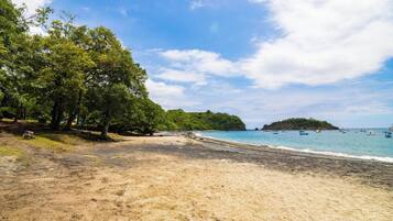 Une plage bordée d’arbres, un rivage sablonneux et des bateaux sur l’eau.