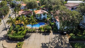 Vista aérea de uma área residencial com piscina, rodeada por vegetação exuberante e palmeiras.