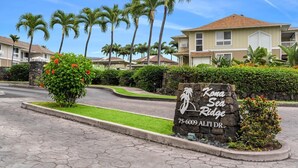 Un quartier résidentiel, agrémenté d’un panneau indiquant « Kona Sea Ridge », avec une route asphaltée, des palmiers et une pelouse bien entretenue.