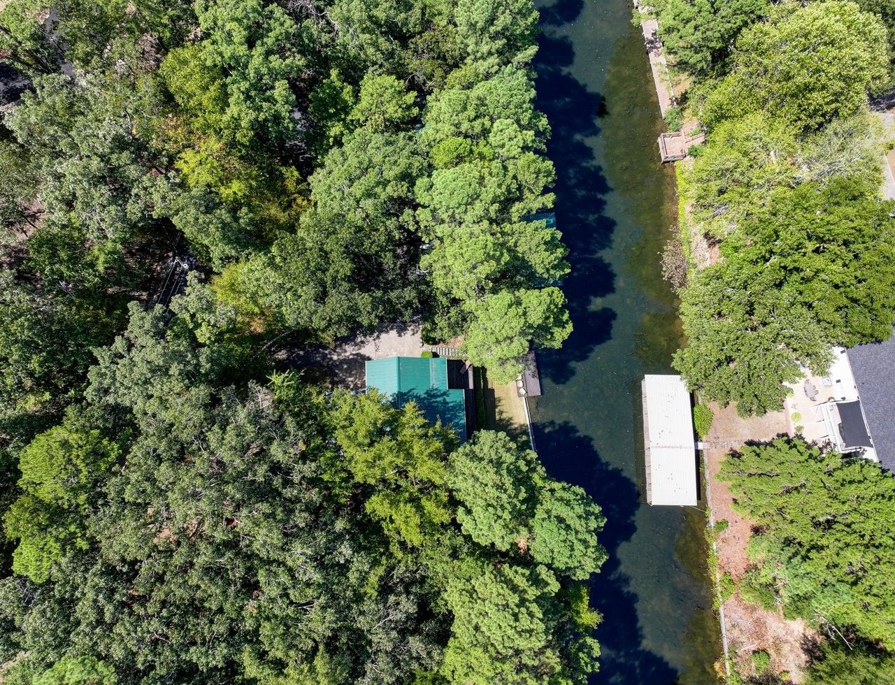 An aerial view of a property with dense greenery, a dock, and a small building with a green roof.
