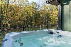 Outdoor spa tub - Tranquil Wooded Setting With Hot tub (Dover)