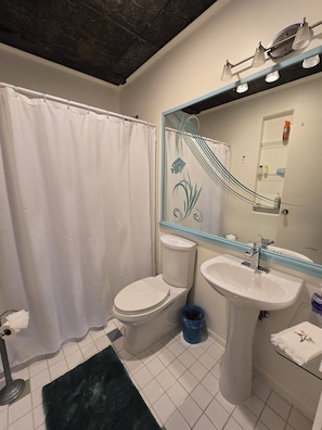 Shower, hair dryer, towels, soap - All the Comforts of Home Just 5 minutes from 5 of Lake Huron's Best Beaches! (Ft. Gratiot)