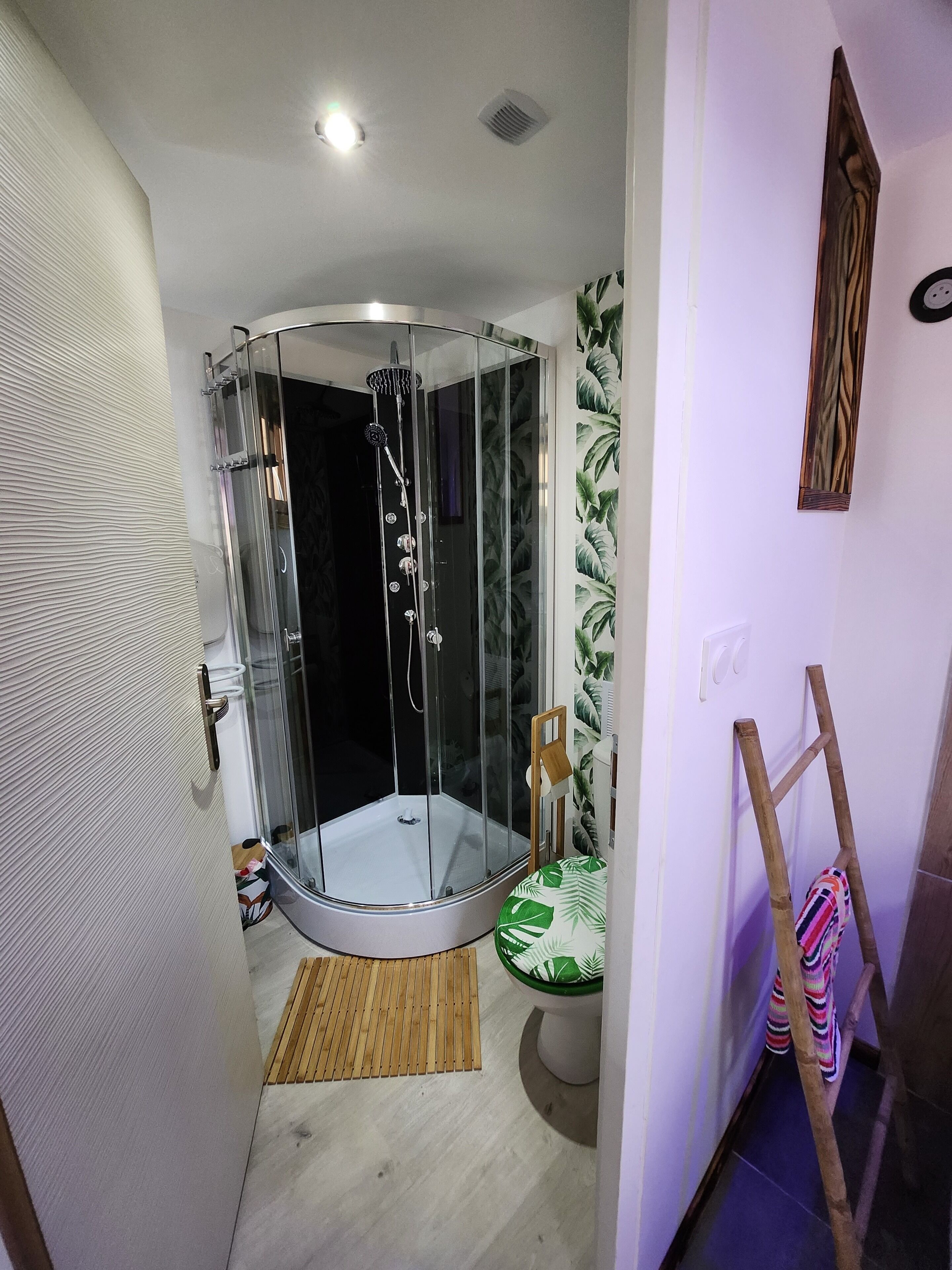 Regadera, secadora de cabello, toallas, papel de baño 