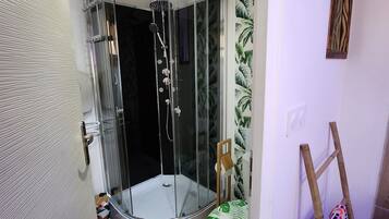 Regadera, secadora de cabello, toallas, papel de baño