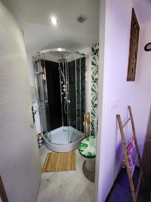 Douche, sèche-cheveux, serviettes fournies, papier toilette