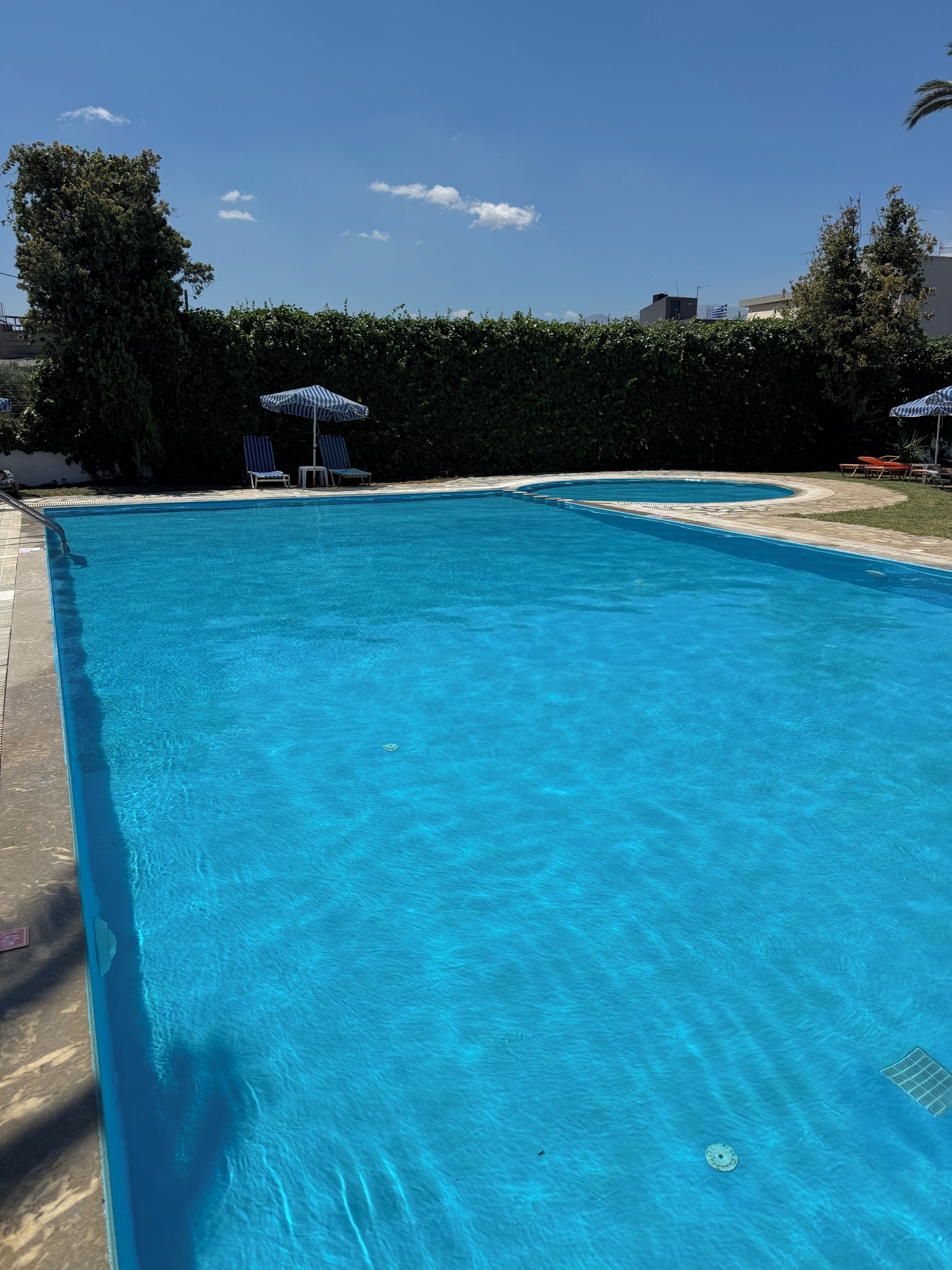 A clear blue swimming pool with lounge chairs and umbrellas, surrounded by a hedge and trees.