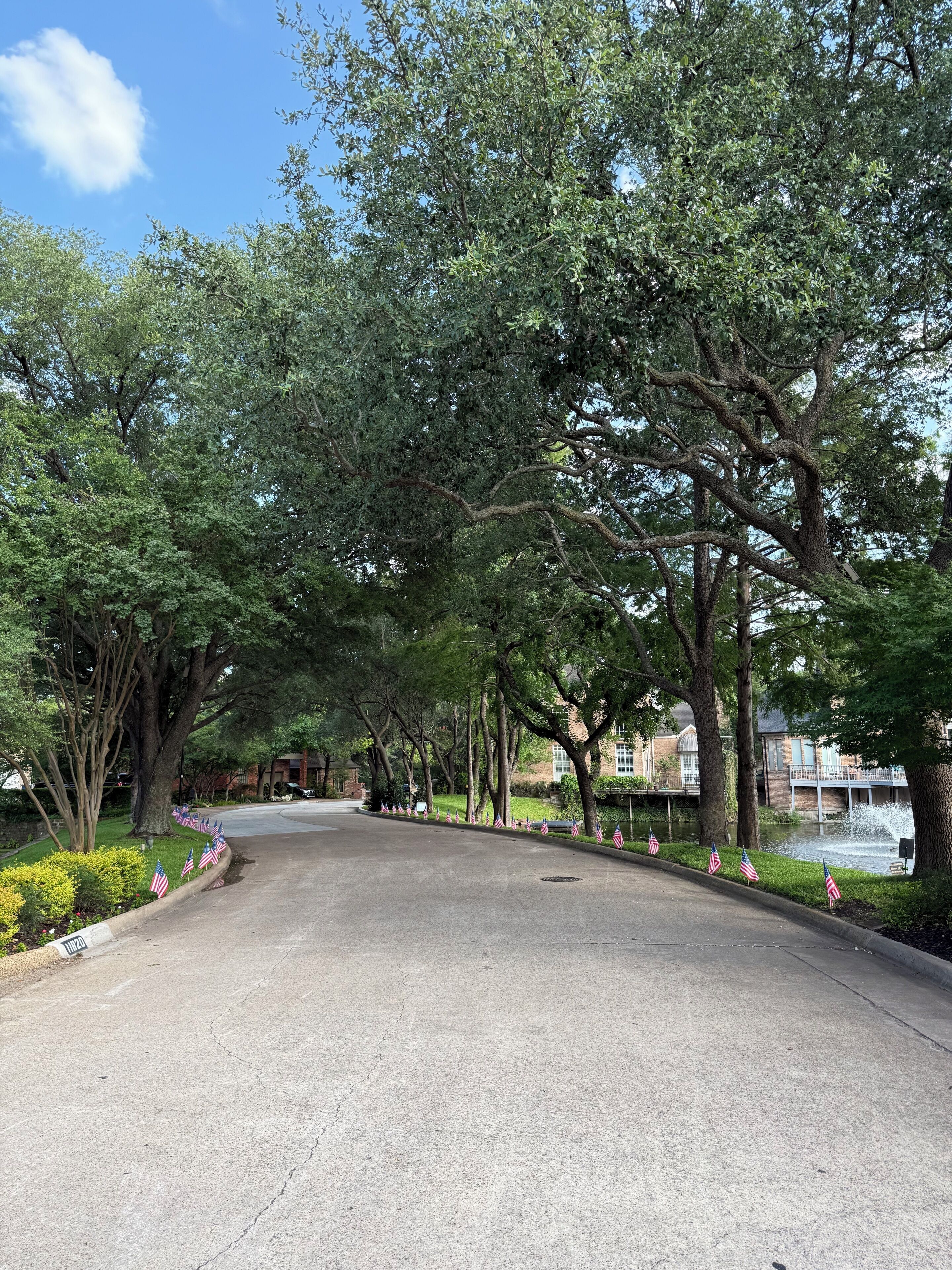 A tree-lined street with American flags, a paved road, and a building in the background.