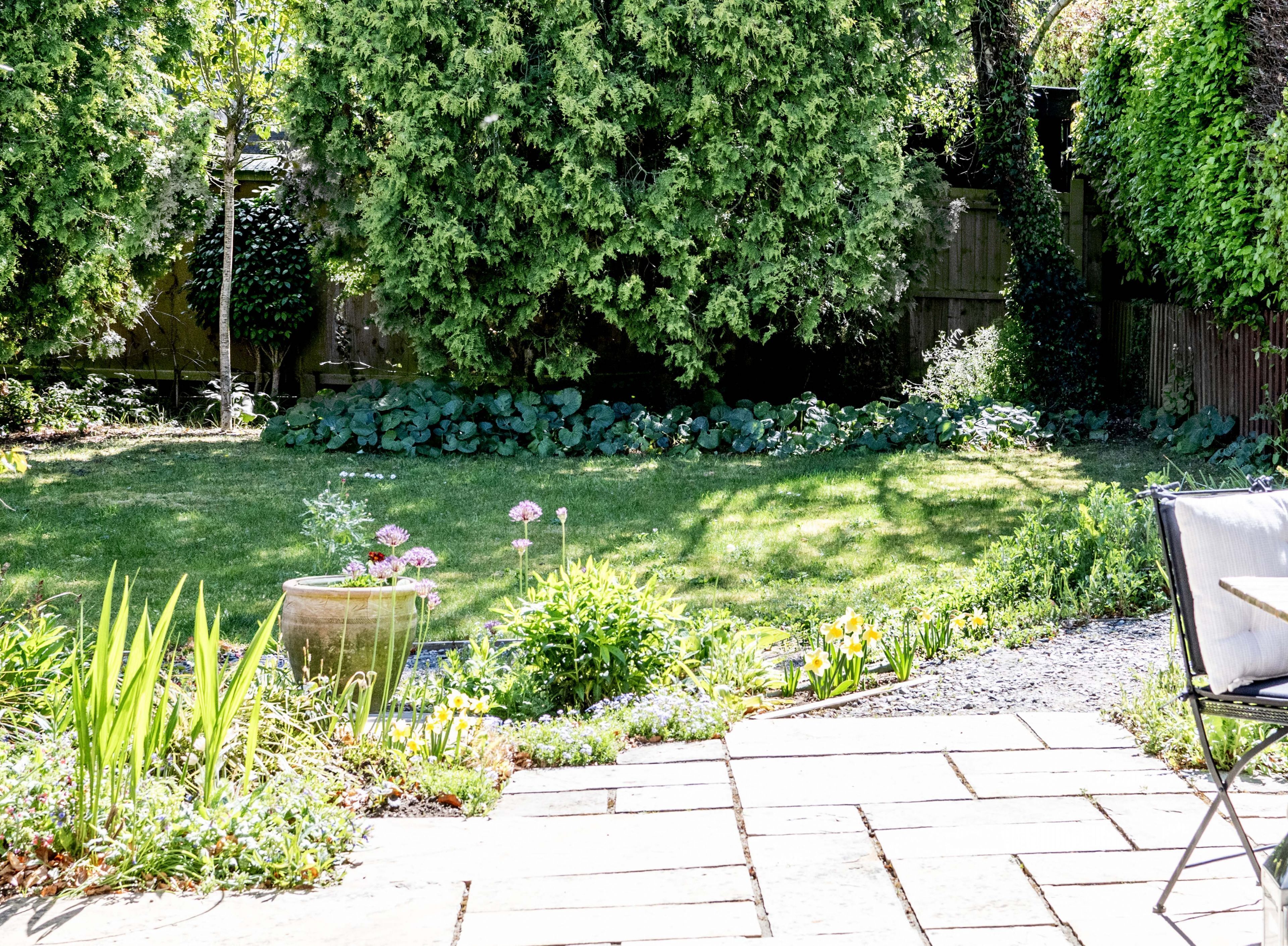 Ein Garten mit einem Kiesweg, einem Holzzaun und verschiedenen Pflanzen und Blumen.