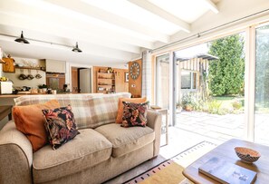 Smart TV, fireplace, books