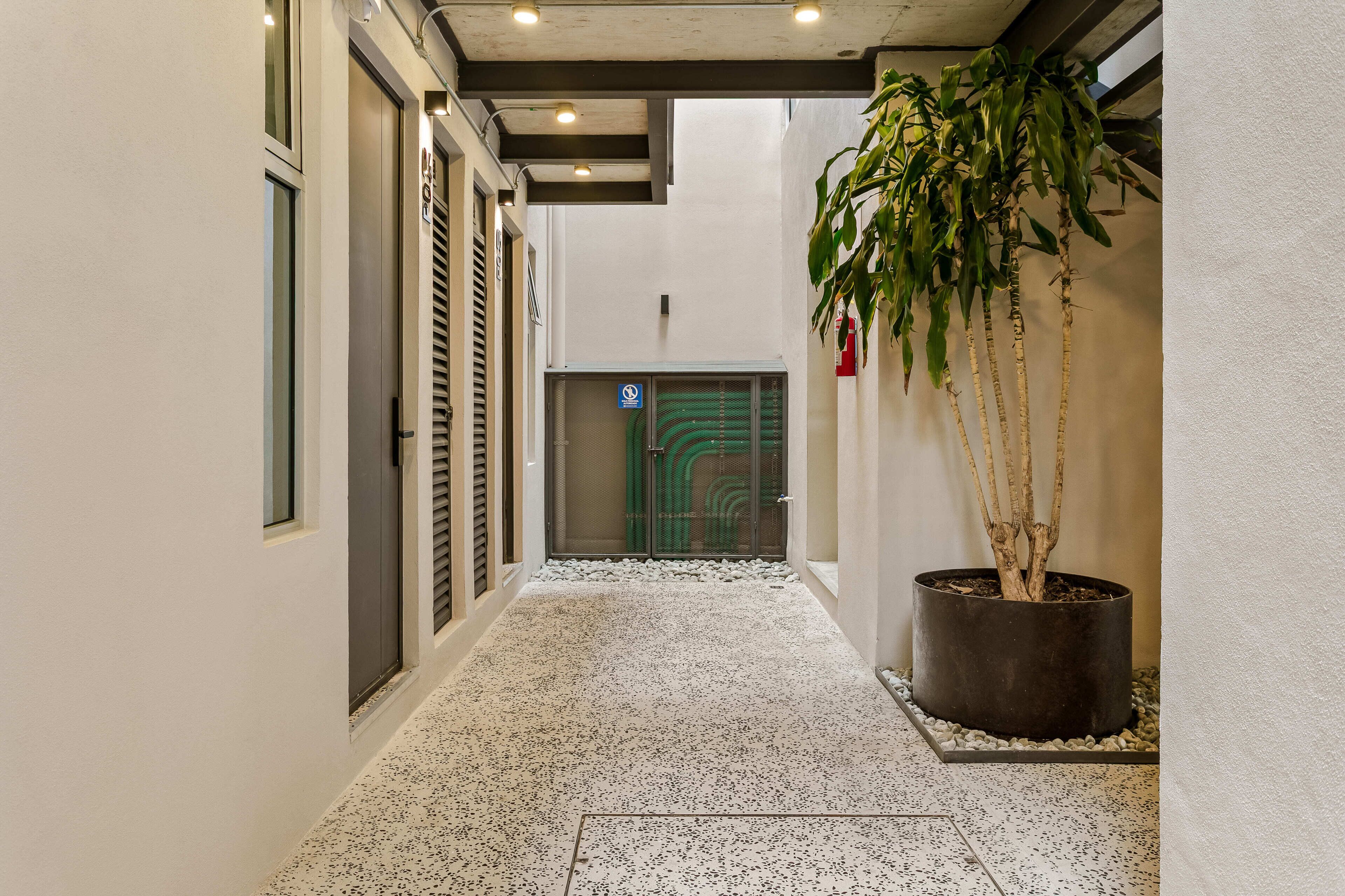 A narrow hallway with a speckled floor, a potted plant, and a door with a green sign.