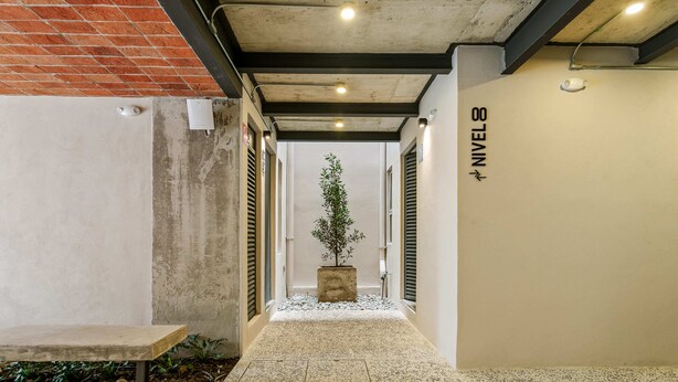A hallway with a concrete bench, a potted plant, and a sign reading 'NIVEAU 8'. - El Pocito By Homirent  (San José de los Olvera)