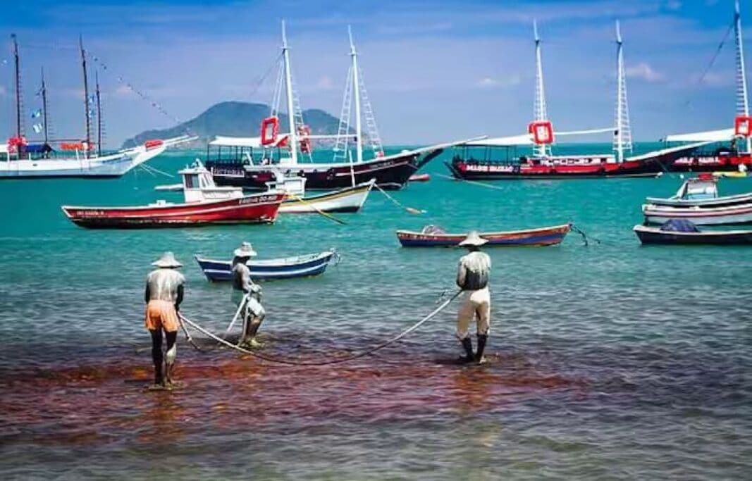 Un port où se trouvent de nombreux bateaux et où des personnes pratiquent la pêche.