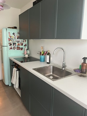 Private kitchen - Cosy apartment in the westside of RVK, very close to downtown RVK (Reykjavík)