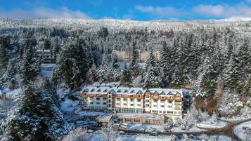 Un hôtel à plusieurs étages, entouré d’une forêt dense et surplombant un paysage enneigé.