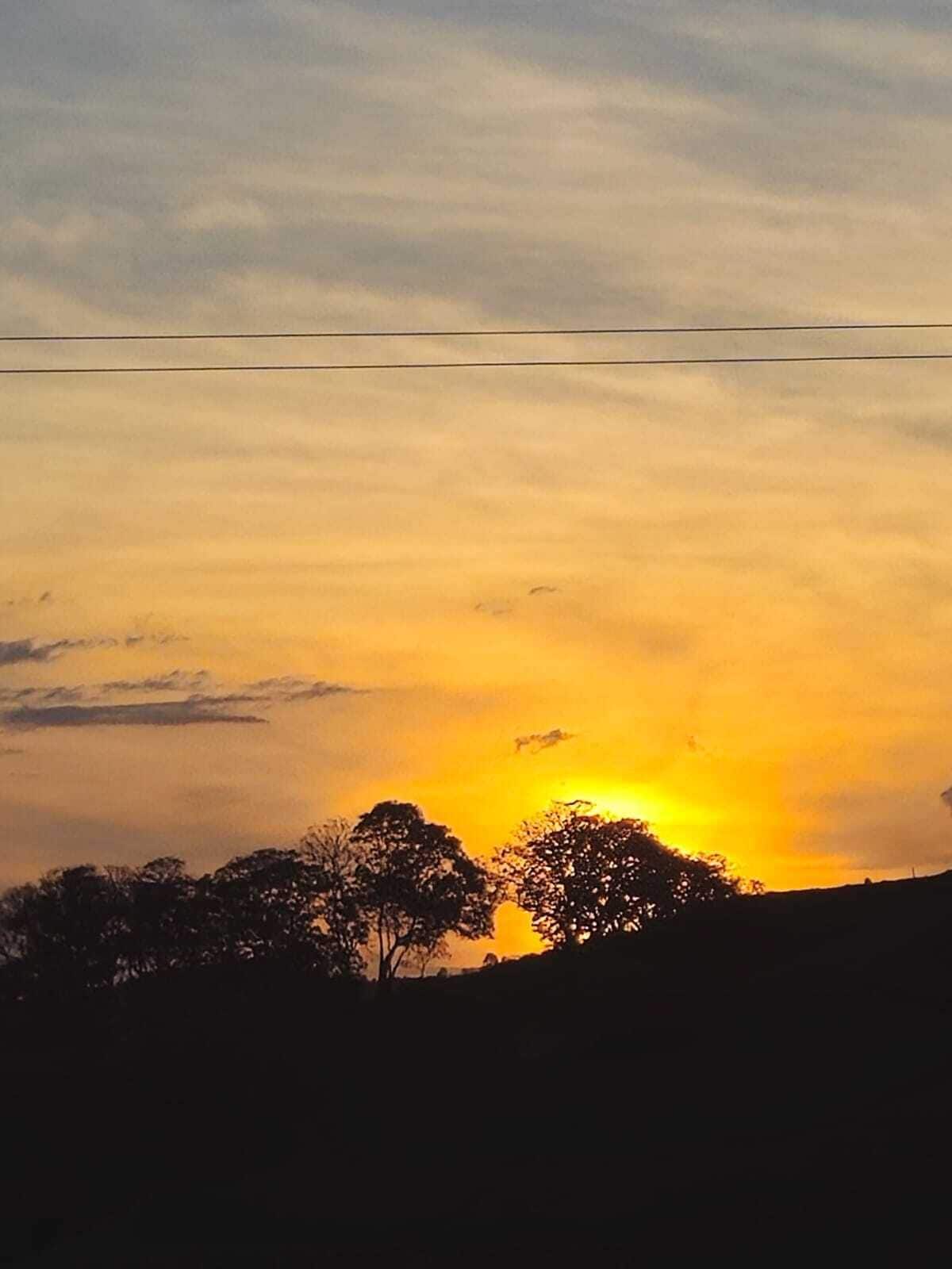 Un atardecer con siluetas de árboles y una línea eléctrica.
