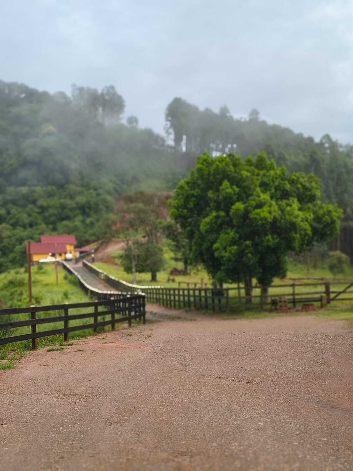 A gravel road with a wooden fence, a tree, and a distant building.