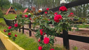 Un jardin bordé de fleurs jaunes, avec une clôture en bois et des roses rouges.