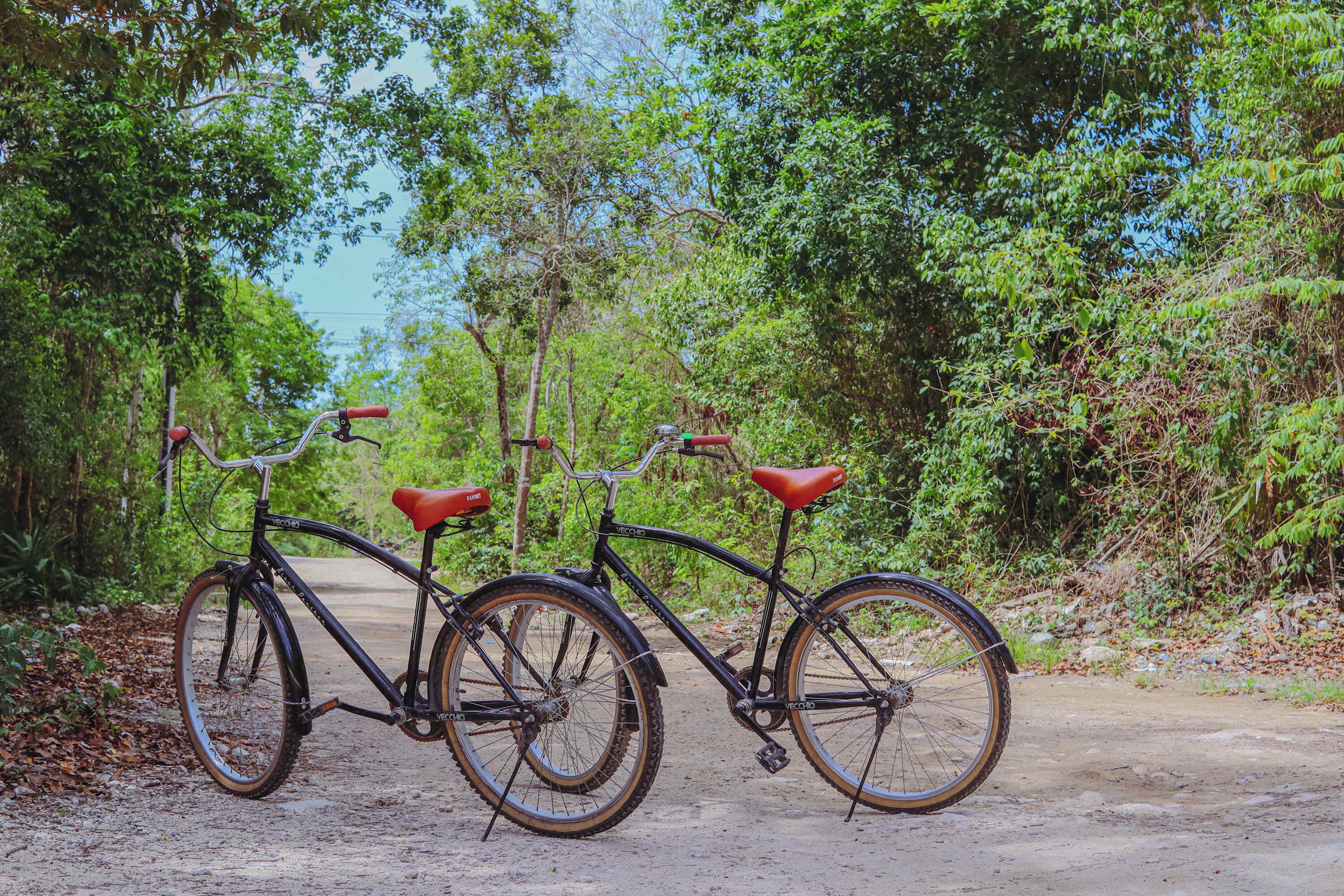A bicycle parked on a dirt path surrounded by greenery.
