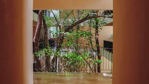 A corridor with a view of a bamboo forest and a staircase. - Chic Jungle 1BR: Balcony Priv Pool, Steam & Gym (Tulum)