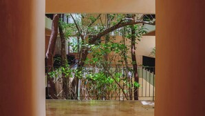 A corridor with a view of a bamboo forest and a staircase. - 1st Flr Chic Jungle Studio: Priv Pool, Steam & Gym (Tulum)