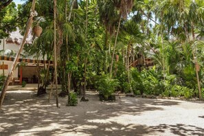Property grounds - Superior Room with Direct Ocean Views (Tulum)