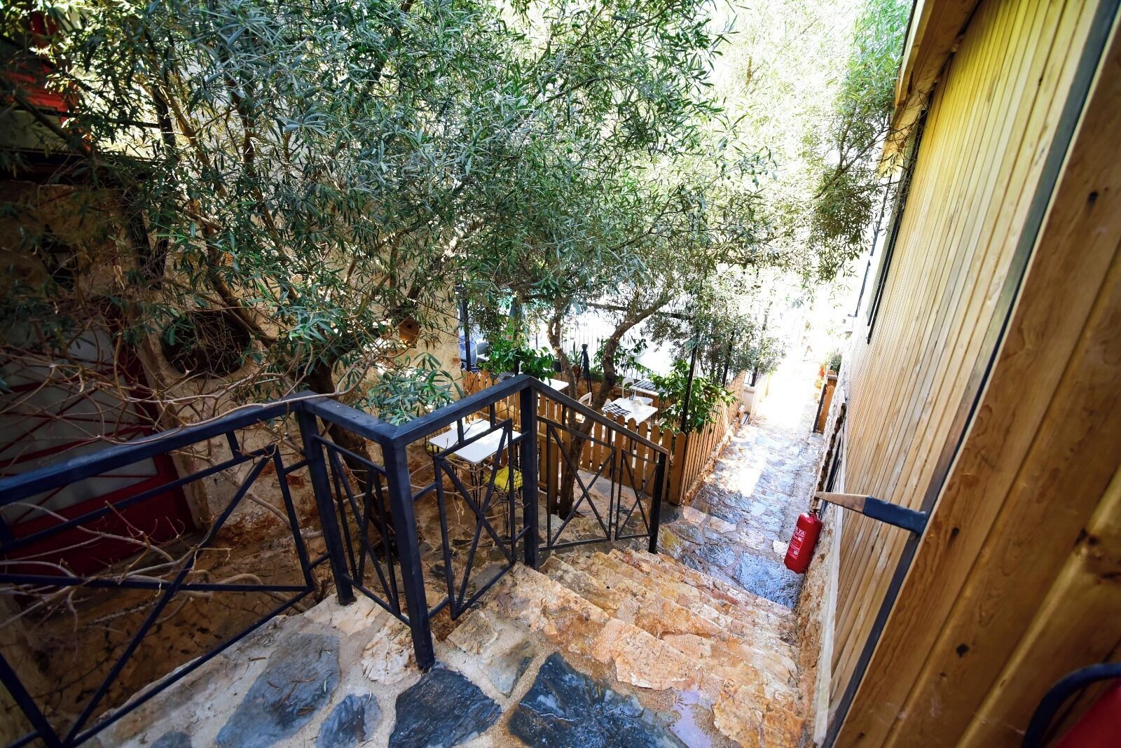 Una escalera de piedra que conduce a una puerta de madera, rodeada de follaje y un muro de piedra.