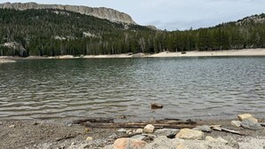 A calm lake with a rocky shoreline, surrounded by dense forest and mountains. - Juniper Springs Resort with Panoramic Views - Luxury Mountain Escape (Mammoth Lakes)