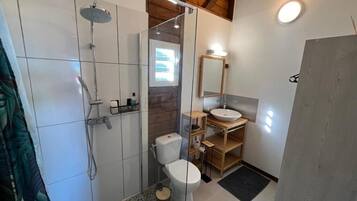 Shower, towels, soap, toilet paper