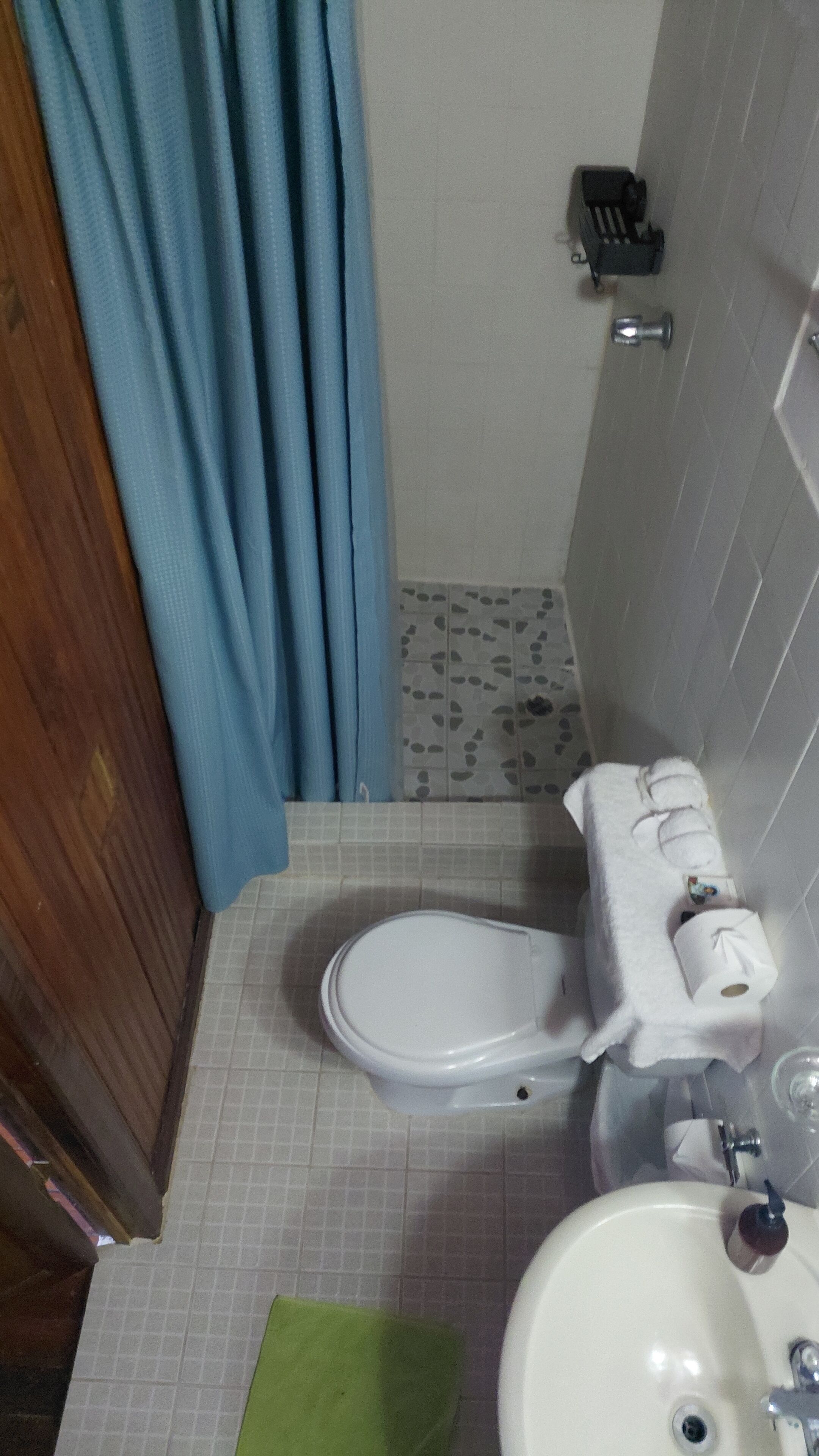 Un baño con inodoro, lavamanos y zona de ducha.