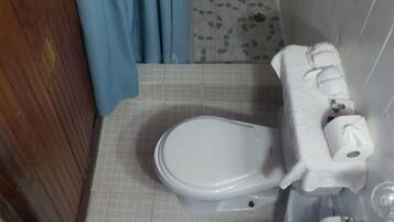 Un baño con inodoro, lavamanos y zona de ducha.