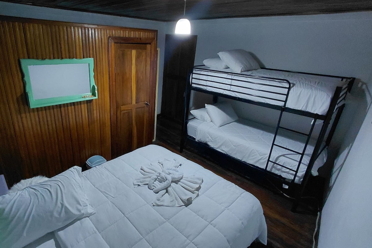 A room with bunk beds, a wooden door, a framed picture on the wall, and a bedside table with a lamp.