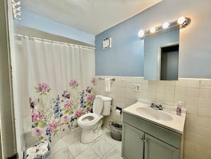 Bathroom - Awesome 1-bedroom studio with AC in vibrant Chicago (Chicago)