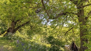 Property grounds - Murat's Cocoon - MURAT LE QUAIRE (MURAT LE QUAIRE)