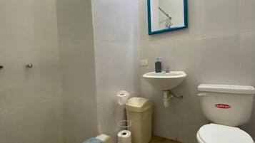 Shower, towels, soap, toilet paper