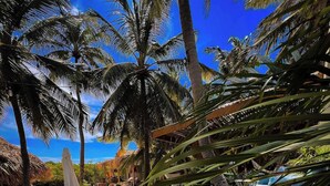A hot tub surrounded by palm trees and a thatched-roof structure. - Hideaway Aruba: Private Villa with Jacuzzi (Savaneta)