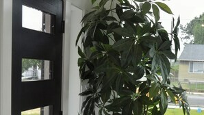 Een zwarte deur met meerdere glaspanelen, een grote potplant en een raam met uitzicht op een grasveld.