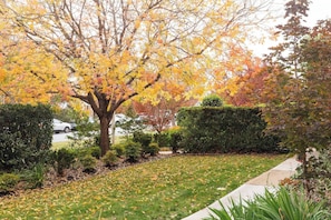 Property grounds - Gorgeous studio apartment next to Campbell shops in the heart of Inner North CBR (Campbell)