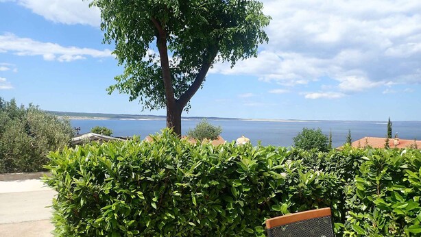 En uteplats med utsikt över havet, ett träd och en stol.