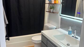 Hair dryer, towels, soap, toilet paper