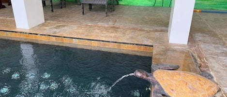 An indoor pool with a turtle, lounge chairs, and a mural of green leaves.