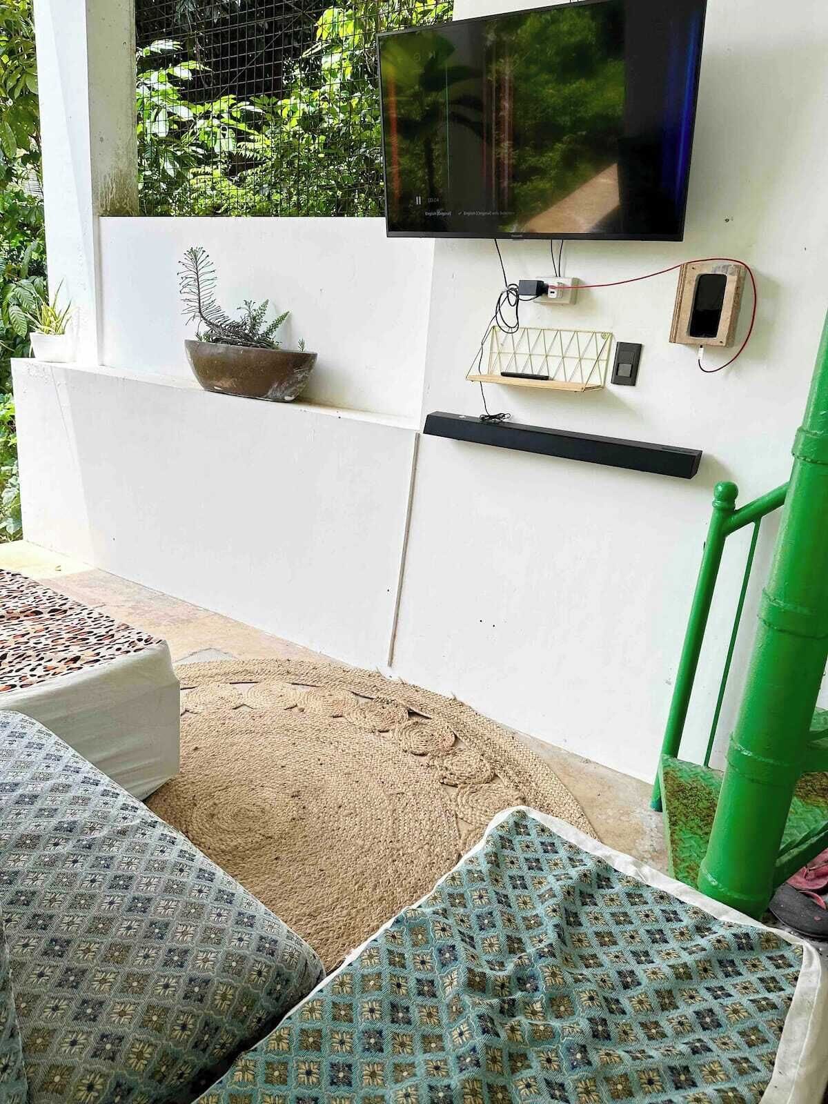 A room with a television mounted on a wall, a small shelf with a plant, a green chair, and a patterned cushion.