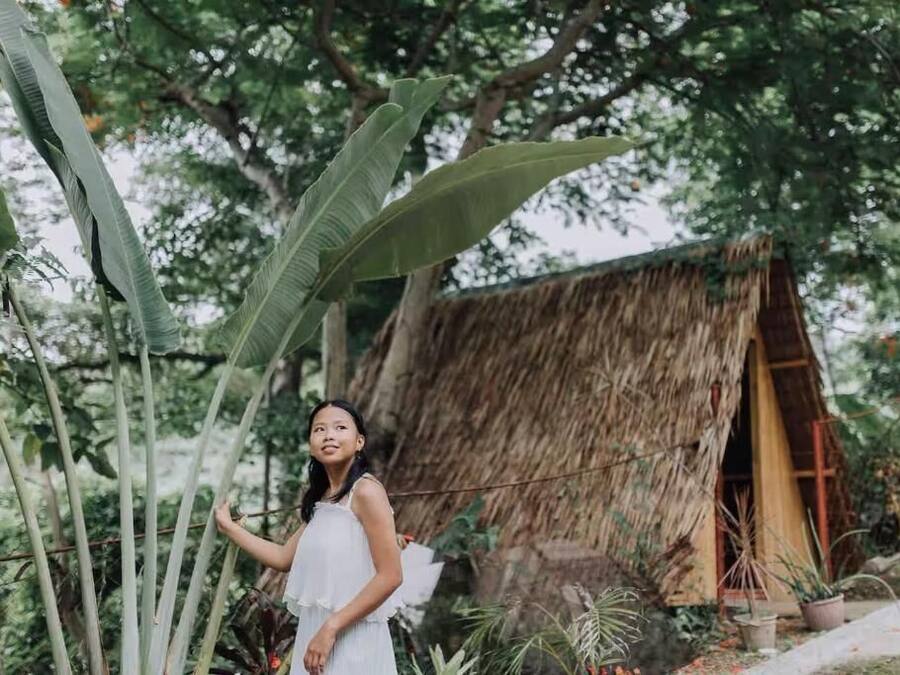 A rustic thatched-roof structure surrounded by lush greenery.